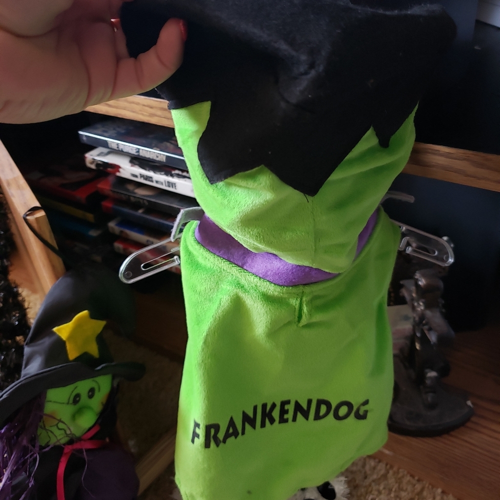 This is a pet costume, bundle, x2, FREE gift